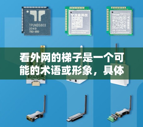 看外网的梯子是一个可能的术语或形象，具体含义可能取决于上下文。以下是对此的分析