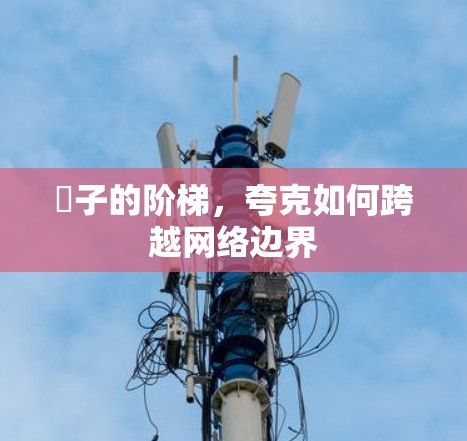 腣子的阶梯，夸克如何跨越网络边界