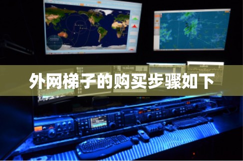 外网梯子的购买步骤如下