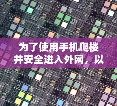 为了使用手机爬楼并安全进入外网，以下是一个清晰的步骤指南