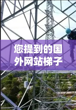 您提到的国外网站梯子贴吧可能是指在某个论坛或社区中，人们讨论如何使用爬虫工具或搜索引擎插件来爬取国外网站的信息。如果您需要了解如何使用这些工具，我们可以提供详细的步骤指南。以下是一些可能的解决方案
