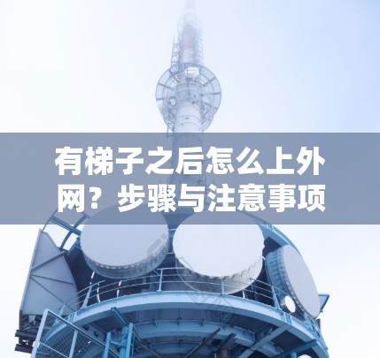 有梯子之后怎么上外网？步骤与注意事项详解