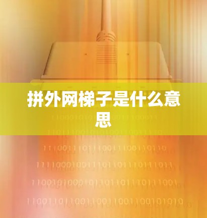 拼外网梯子是什么意思