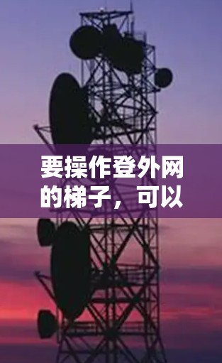 要操作登外网的梯子，可以按照以下步骤进行