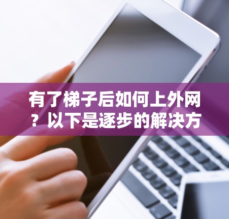 有了梯子后如何上外网？以下是逐步的解决方案