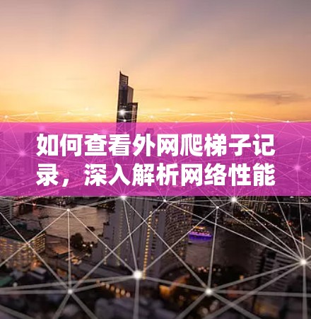 如何查看外网爬梯子记录，深入解析网络性能