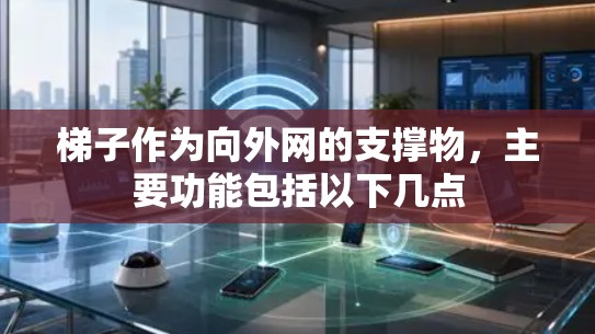梯子作为向外网的支撑物，主要功能包括以下几点