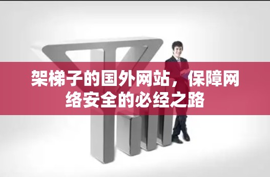 架梯子的国外网站，保障网络安全的必经之路