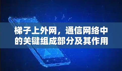 梯子上外网，通信网络中的关键组成部分及其作用分析