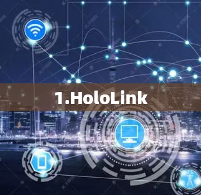 1.HoloLink