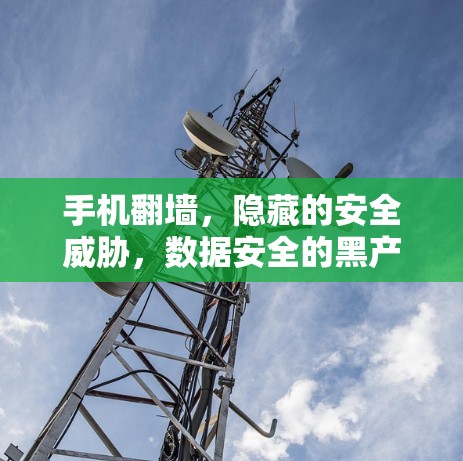 手机翻墙,隐藏的安全威胁,数据安全的黑产行为 手机翻墙,隐藏的安全威胁,数据安全的黑产行为