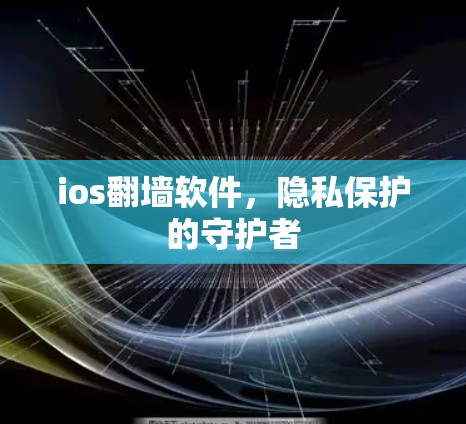 ios翻墙软件，隐私保护的守护者