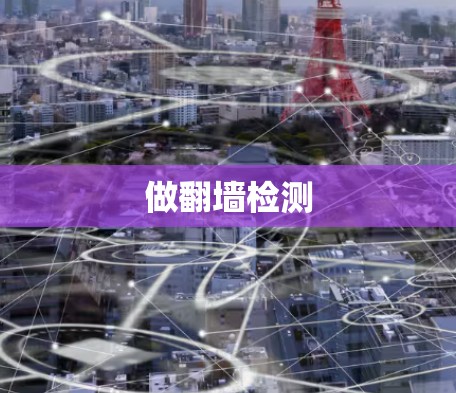 做翻墙检测