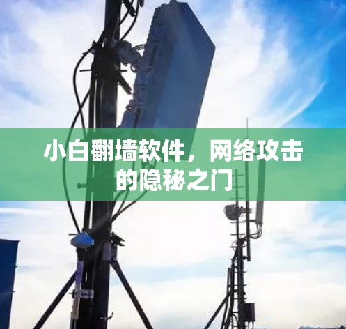 小白翻墙软件，网络攻击的隐秘之门