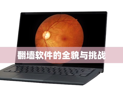 翻墙软件的全貌与挑战 翻墙软件的全貌与挑战