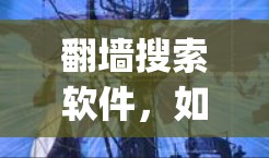 翻墙搜索软件,如W3SchoolS、NetKing和Web-Shield,旨在管理网络防火墙,保护用户免受非法流量的侵入。以下是对这些软件的详细介绍 翻墙搜索软件,如W3SchoolS、NetKing和Web-Shield,旨在管理网络防火墙,保护用户免受非法流量的侵入。以下是对这些软件的详细介绍