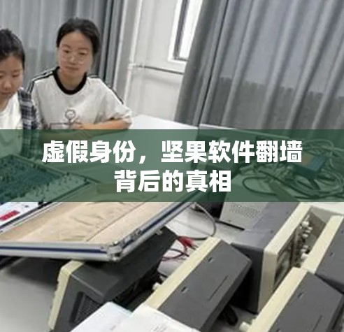 虚假身份，坚果软件翻墙背后的真相