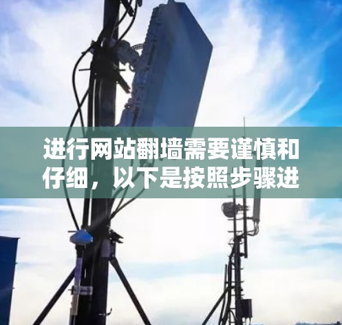 进行网站翻墙需要谨慎和仔细，以下是按照步骤进行的建议