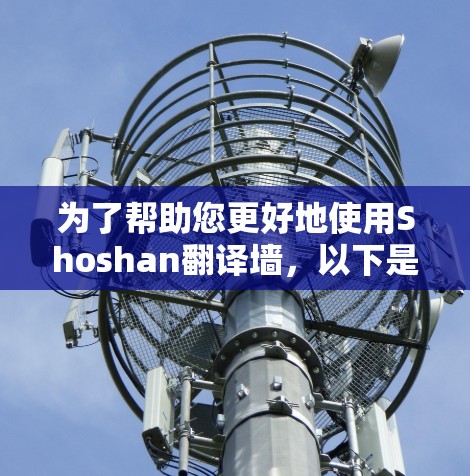 为了帮助您更好地使用Shoshan翻译墙，以下是分步指南