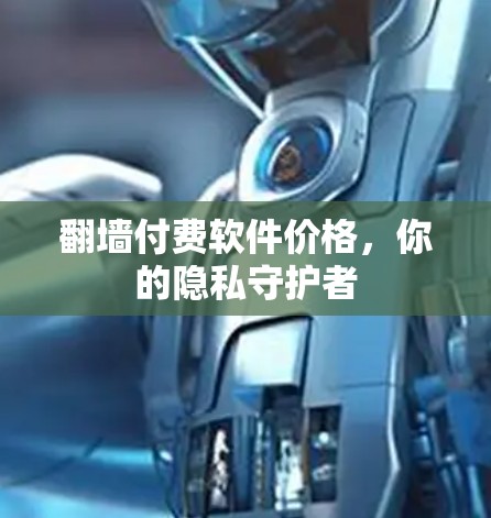 翻墙付费软件价格,你的隐私守护者 翻墙付费软件价格,你的隐私守护者