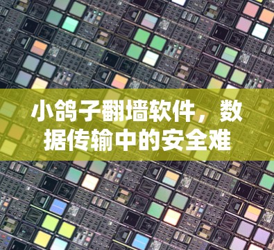 小鸽子翻墙软件，数据传输中的安全难题