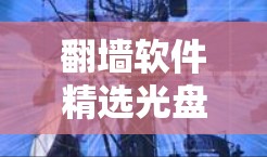 翻墙软件精选光盘，改变通信的未来