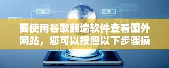要使用谷歌翻墙软件查看国外网站，您可以按照以下步骤操作