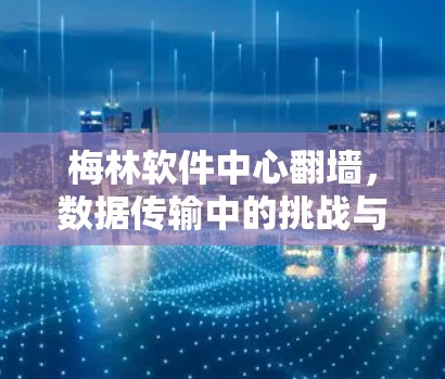 梅林软件中心翻墙，数据传输中的挑战与解决方案