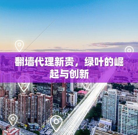 翻墙代理新贵，绿叶的崛起与创新
