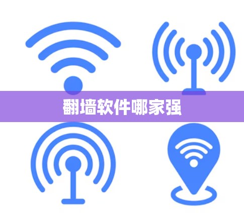 翻墙软件哪家强