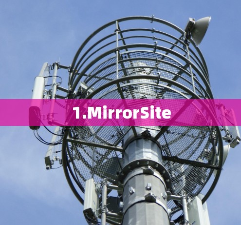 1.MirrorSite 1.MirrorSite