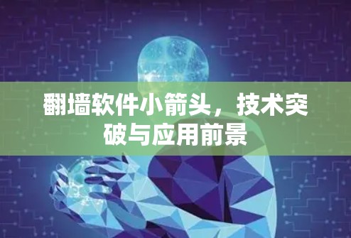 翻墙软件小箭头，技术突破与应用前景